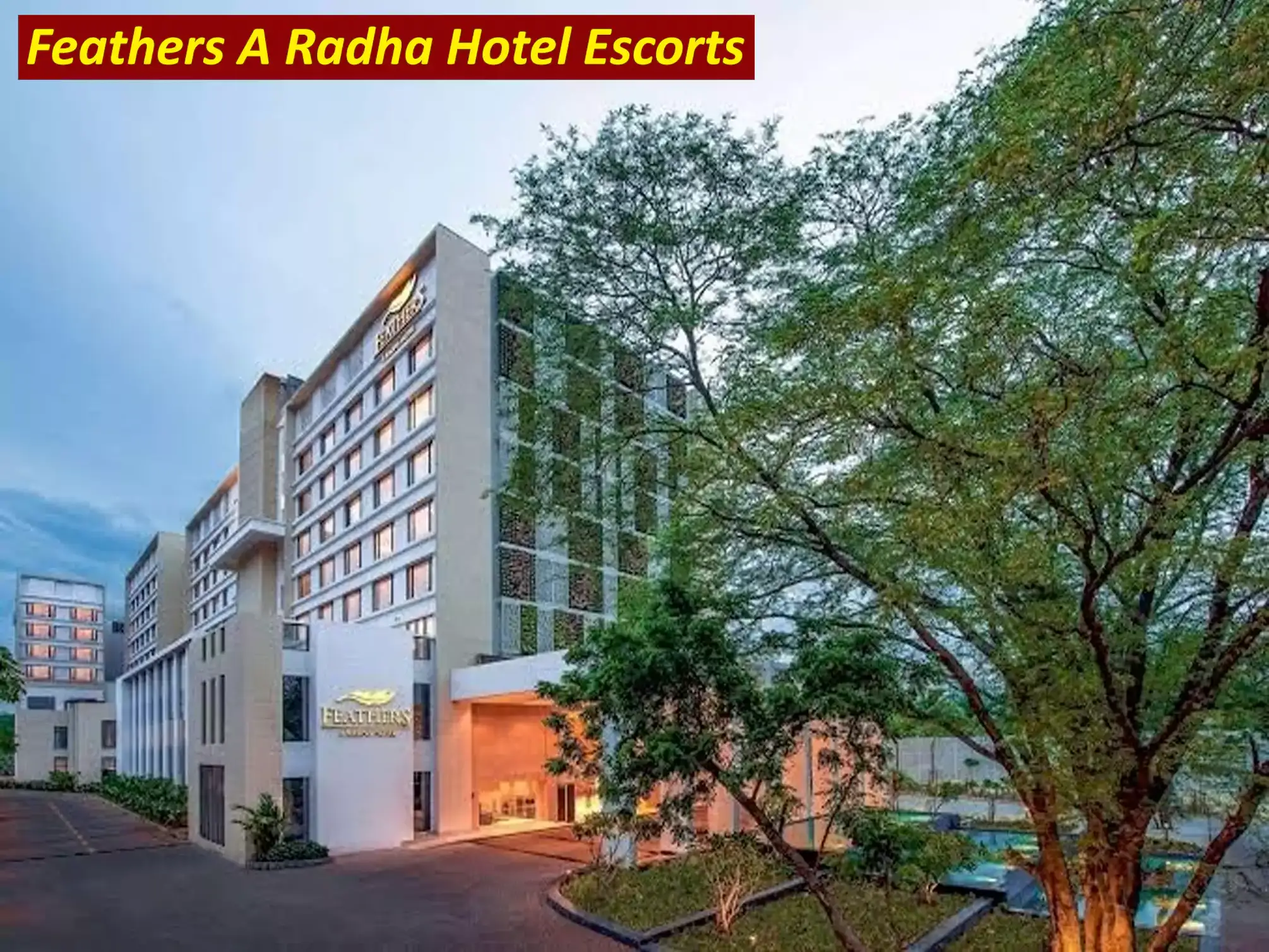 Feathers A Radha Hotel Escorts