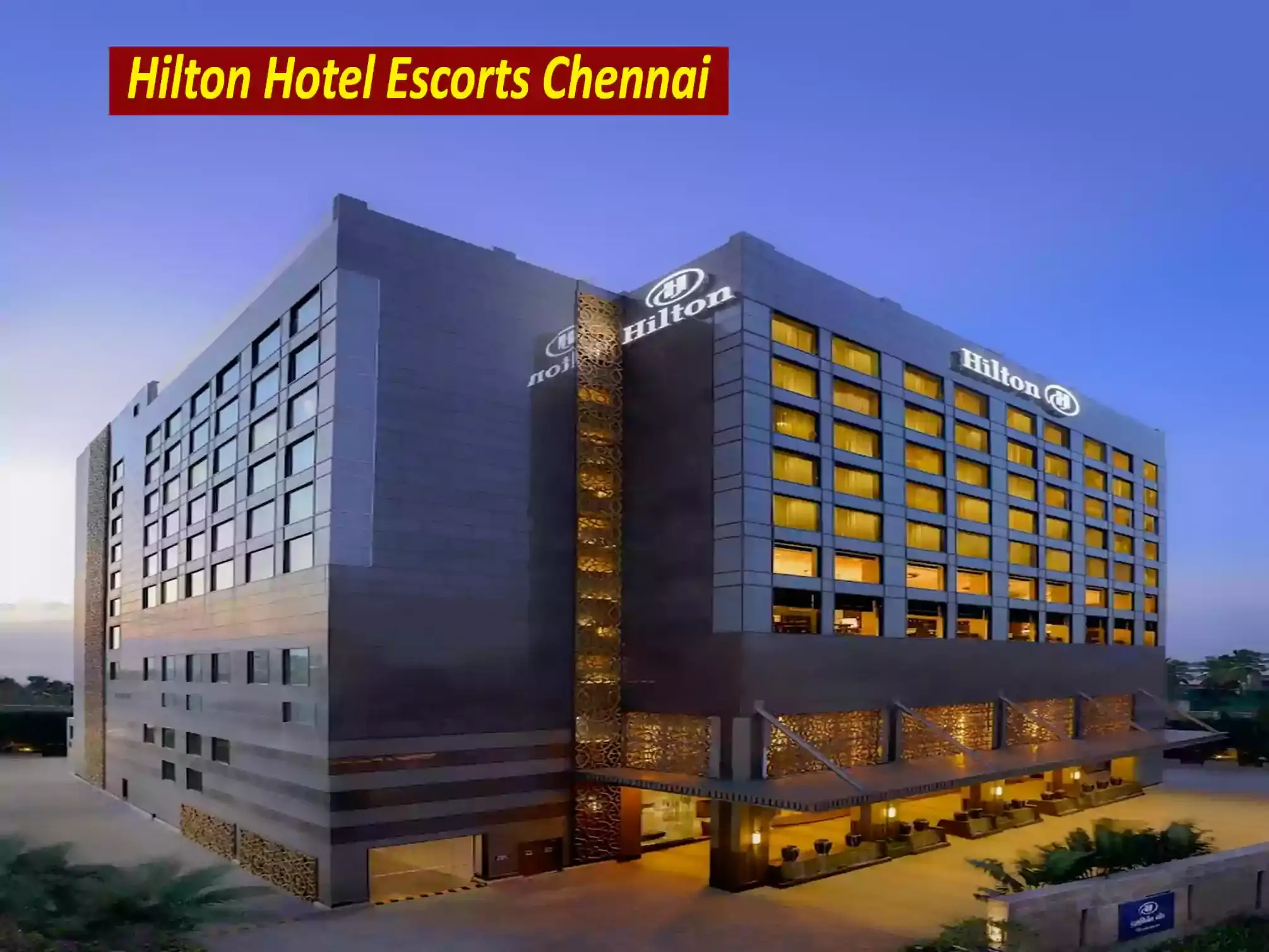 Hilton Hotel Escorts Chennai
